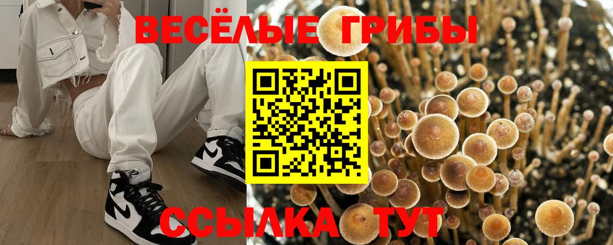 Псков  Псилоцибиновые грибы Magic Shrooms  Вход с VPN 